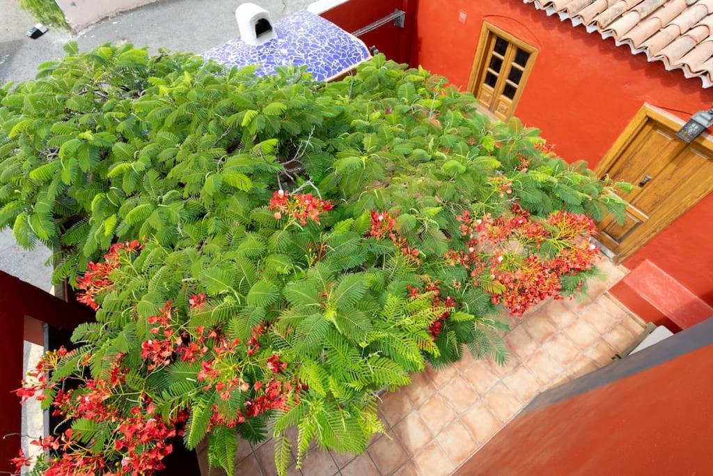 Rural House With Traditional Architecture S. XIX Santa-Cruz de Ténérife Extérieur photo